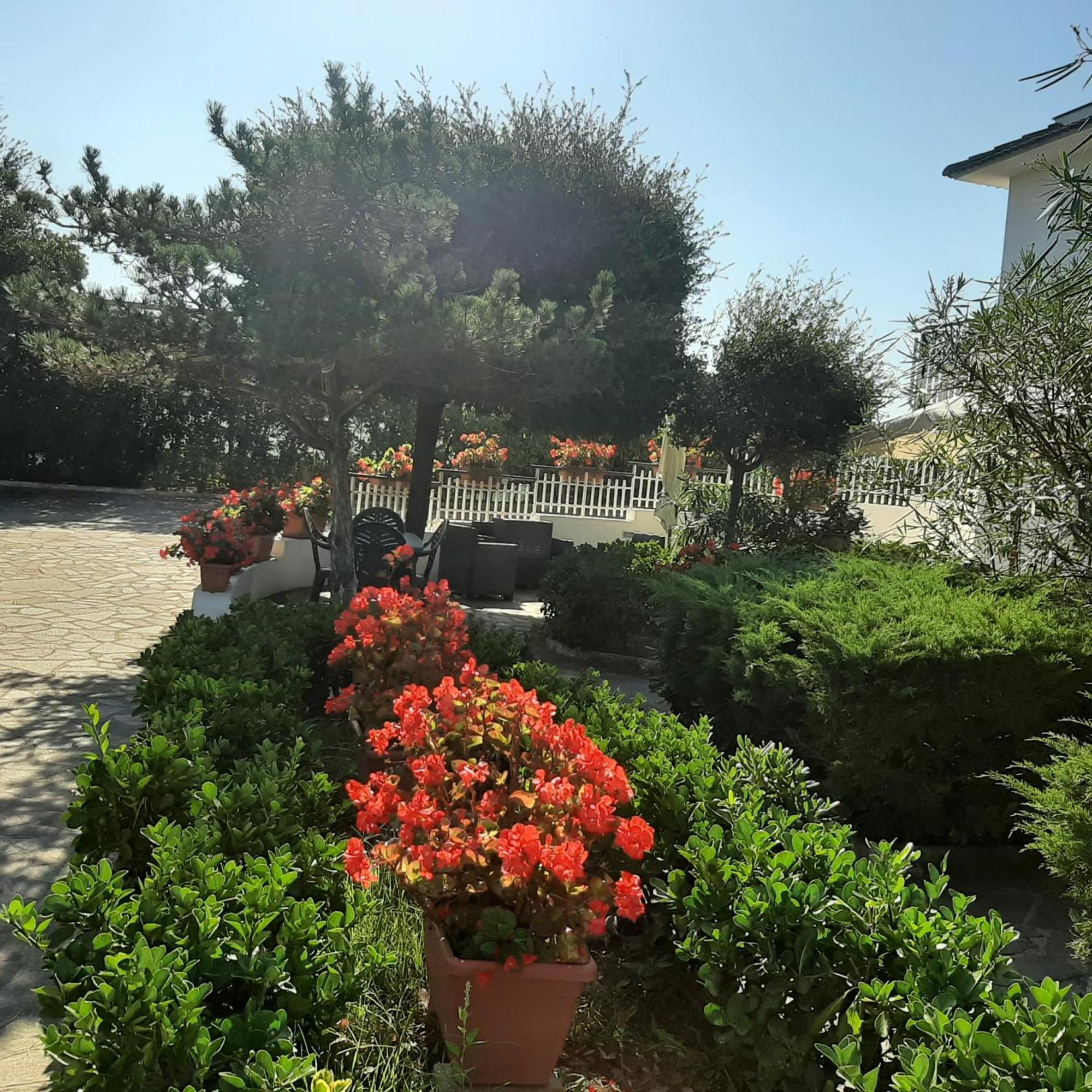 Appartamento In Villa Valentini, Fronte Mare, Giardino E Parcheggio Privato, Wifi, Dotato Di Tutti I Confort, Nel Golfo Di Gaeta Minturno Ngoại thất bức ảnh