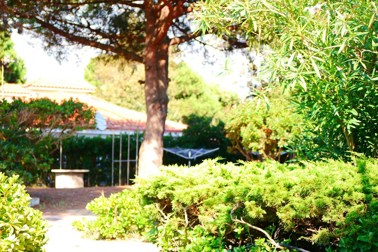 Appartamento In Villa Valentini, Fronte Mare, Giardino E Parcheggio Privato, Wifi, Dotato Di Tutti I Confort, Nel Golfo Di Gaeta Minturno Ngoại thất bức ảnh